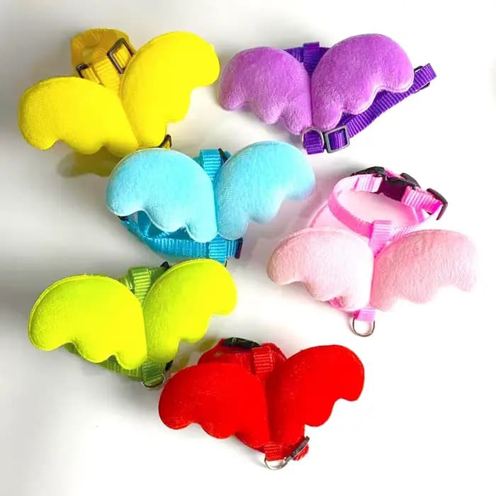 Ensemble harnais et laisse ailes d'ange pour animaux de compagnie, pour chats, chiots, lapin, mignon