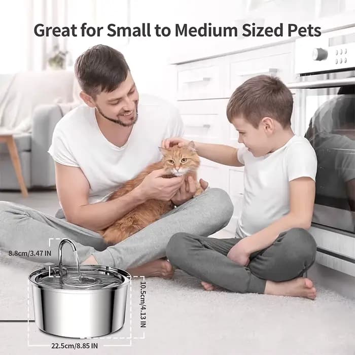 Distributeur d'eau pour animaux de compagnie en acier inoxydable, fontaine d'eau automatique pour ch
