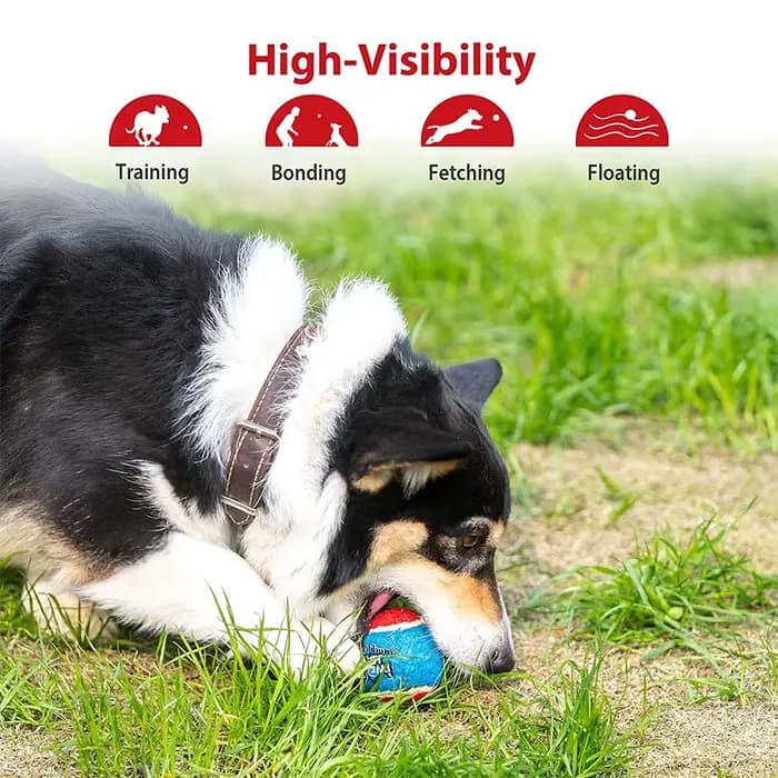 Balle de Tennis grinçante pour chien, jouets interactifs pour chien, son à rebond élevé, balle en ca