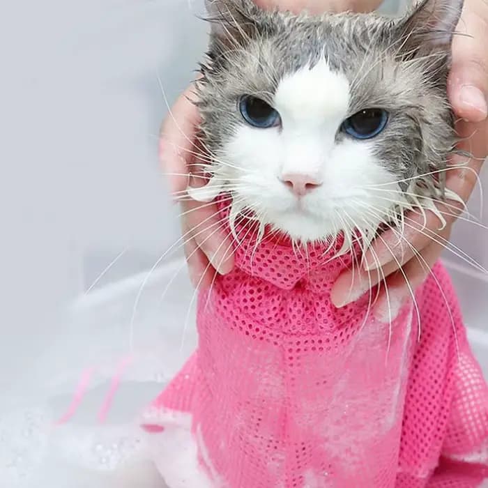 Sac de douche de toilettage pour chat, sacs en maille de lavage en Polyester, sac de retenue réglabl