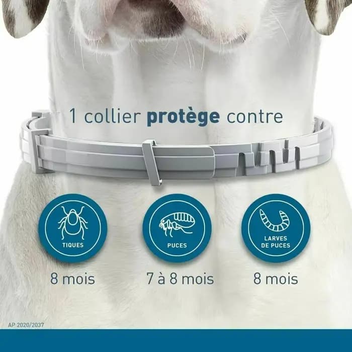 Collier Anti-puces et tiques pour chien et chat, Protection rétractable de 8 mois, pour chiot, chat,