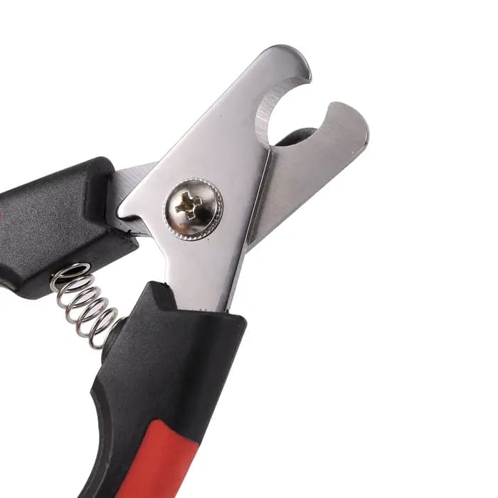 Coupe-ongles pour oiseaux en acier inoxydable, outil de toilettage pour perroquets, taille en option