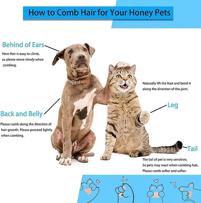 Brosse épilatoire pour chien et chat, peigne de toilettage et de soin pour poils longs, pour animaux