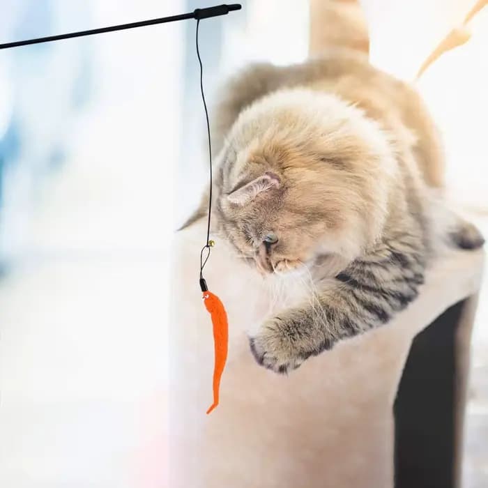 Jouet interactif en plumes de chat, accessoires, faux souris, ver, avec cloche de remplacement, rech