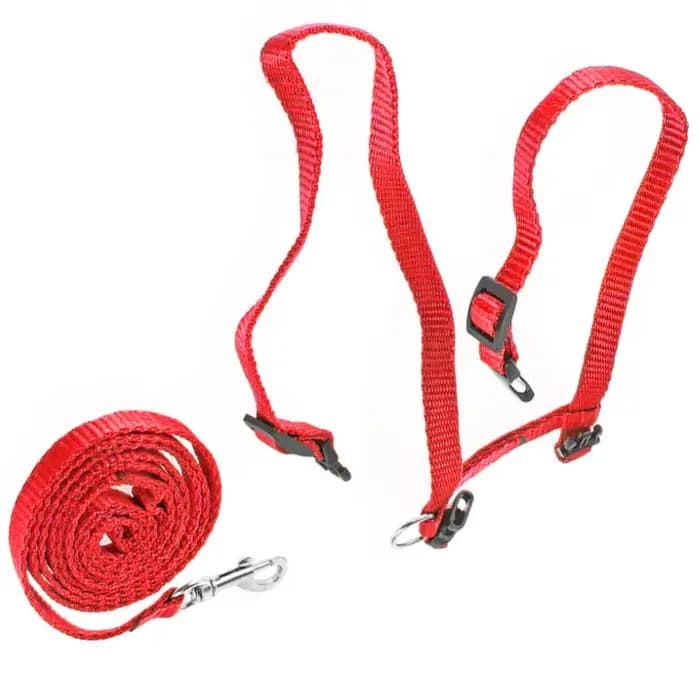 Harnais et laisse pour chat, harnais réglable avec sangle en nylon, cordes de sécurité pour chatons,