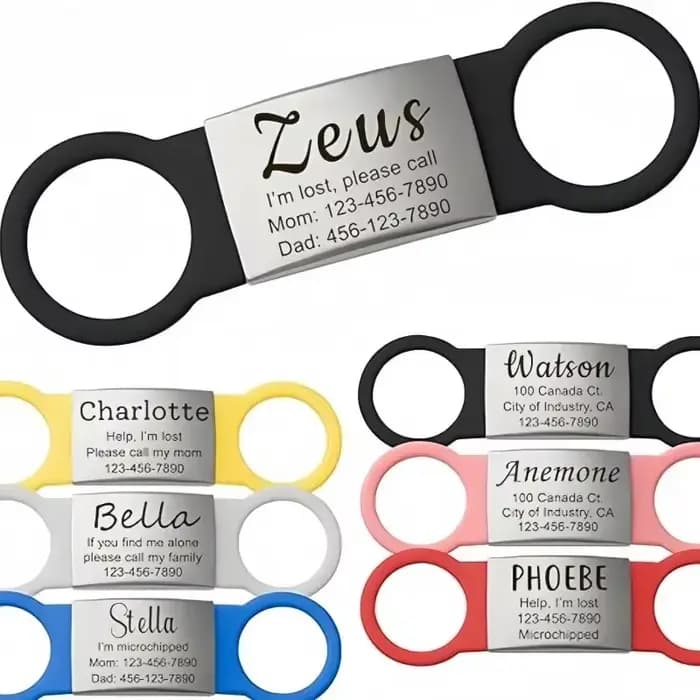 Collier personnalisé pour chien et chat, étiquette gravée, breloque avec nom, pendentif Bne, porte-c