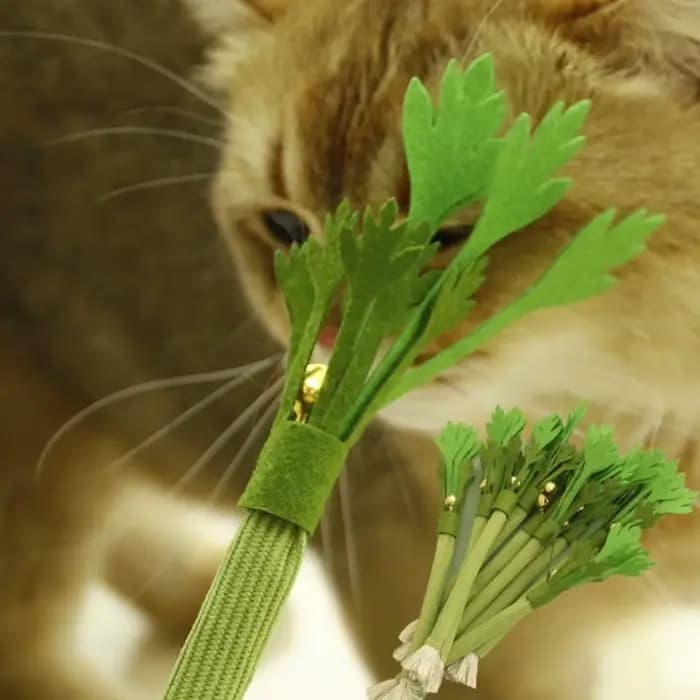 Jouet à mâcher pour chat, 2 pièces, résistant aux morsures, interactif, nettoyage des dents de chato