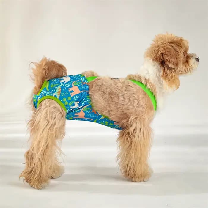 Culottes physiologiques pour animaux de compagnie, motif dessin animé, pour chats et chiens de petit