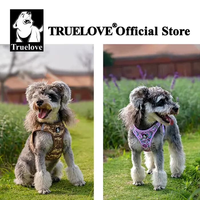 Truelove harnais pour animaux de compagnie maille d'air souple gilet réfléchissant réglable pour ani
