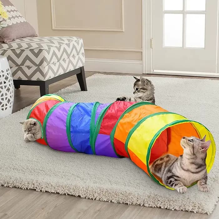Tube Tunnel pliable pour chat, jouets d'entraînement pour chaton, jouet interactif amusant, Tunnel e