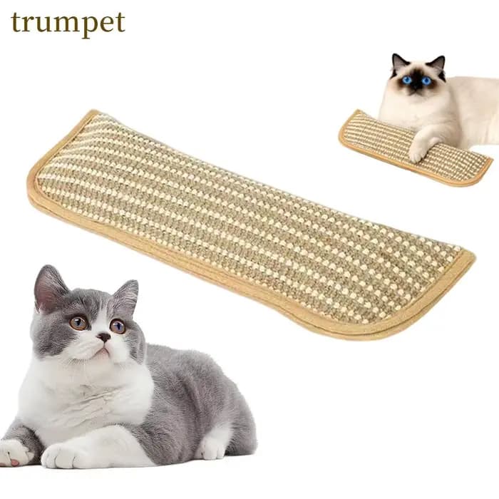 Jouets interactifs à gratter pour chat, oreiller d'herbe à chat, meulage des dents et Anti-morsure,