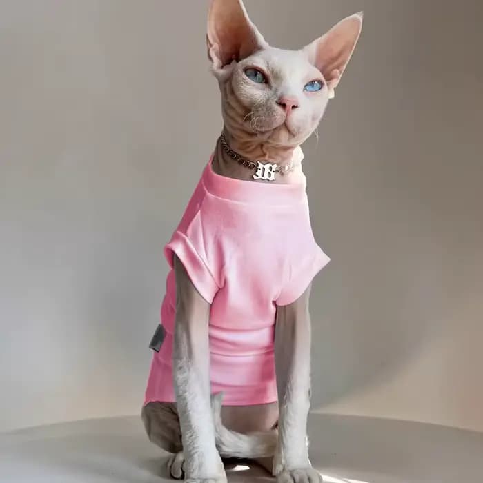 Sphynx chat vêtements coton sans poils chat gilet bébé 100% coton doux été sans manches mince gilet