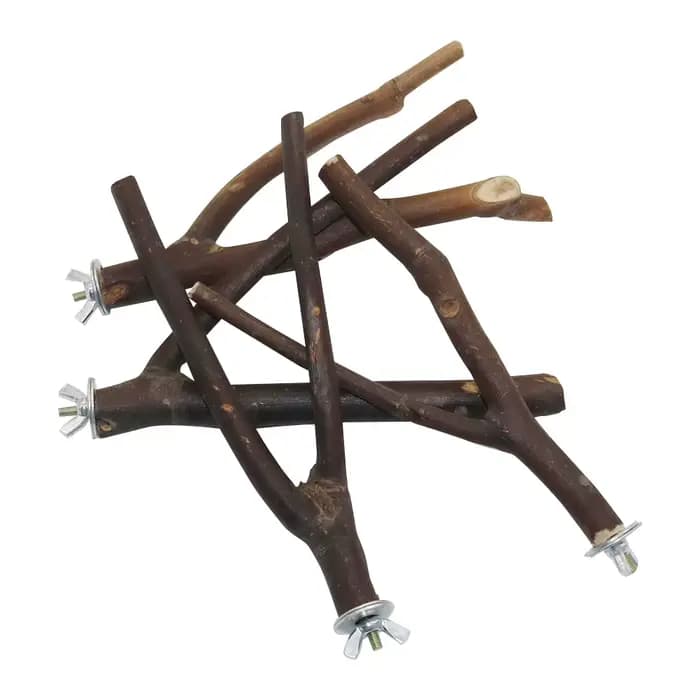 Support de fourchette d'arbre pour oiseaux de compagnie, 15cm, support de branche de rondins de perr
