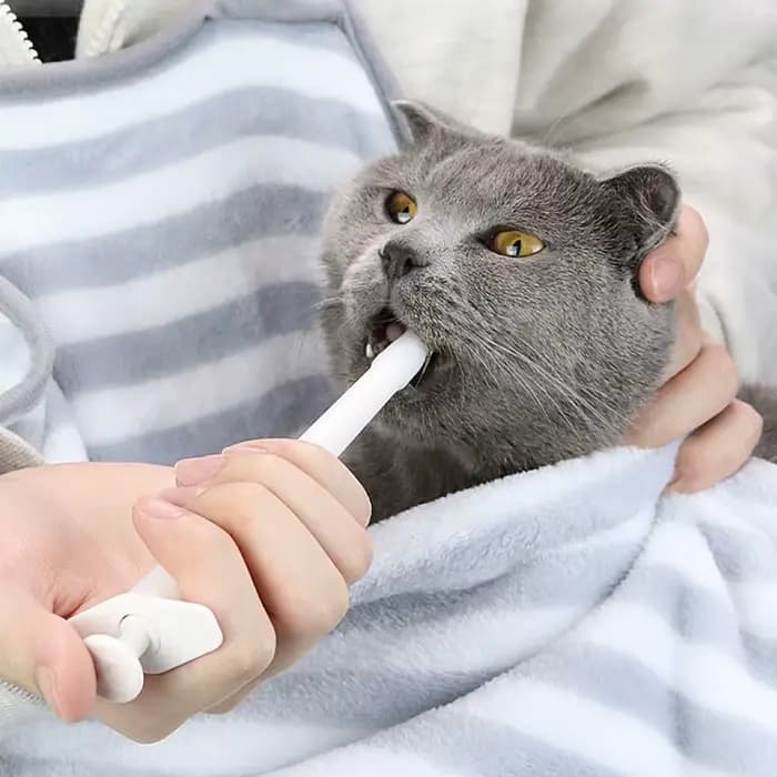 Seringue pour animaux de compagnie, pilulier, distributeur de médicaments, eau, lait, alimentation,