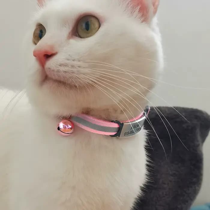 Collier réfléchissant pour chat gravé, sûr, pour chaton, avec cloche, chiot, collier pour animaux de