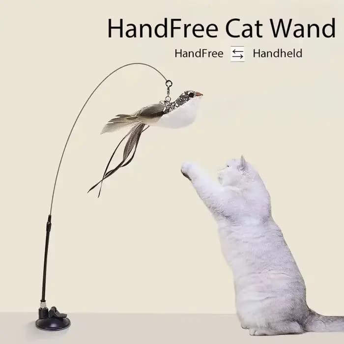 Jouet interactif pour chat, bâton mains libres pour chaton, baguette Teaser, jouet à ventouse, oisea