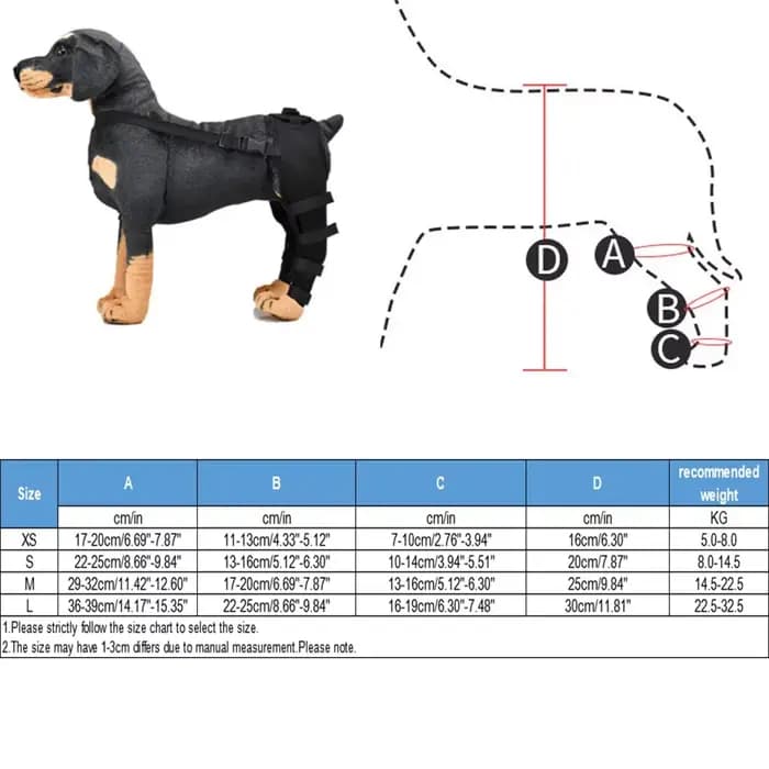 Genouillères pour chiots de compagnie, attelles arrière pour chiens blessés, attelle de soutien pour