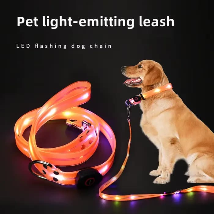 Collier lumineux pour animaux de compagnie, laisse LED clignotante, chargement USB, ceinture de trac