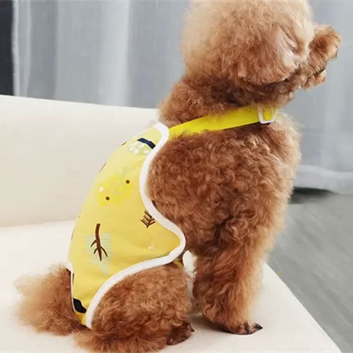 Culotte physiologique réutilisable pour animaux de compagnie, pour petits chiens, avec sangles, sous