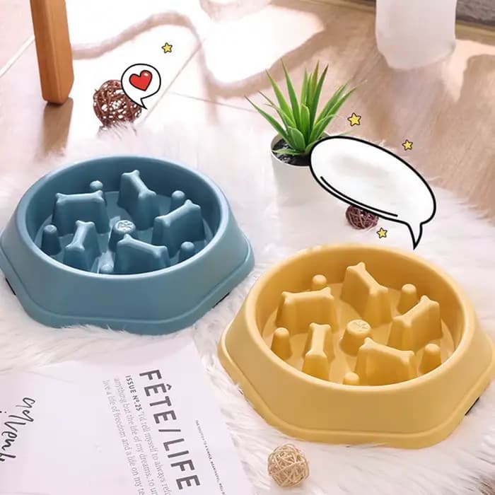 Bols d'alimentation lente pour chats et chiens