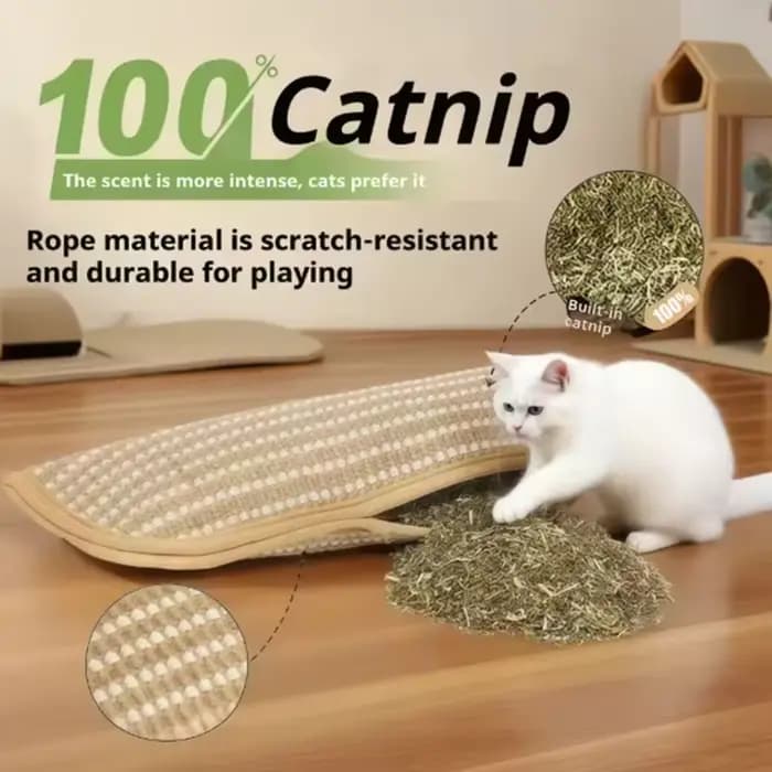 Jouets interactifs pour chat