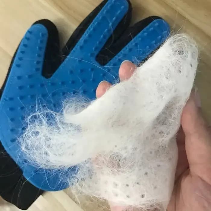 Gants de toilettage pour animaux de compagnie, brosse flottante en caoutchouc pour l'élimination des poils, gant de massage et de nettoyage, peigne pour chats, accessoires et produits pour chats