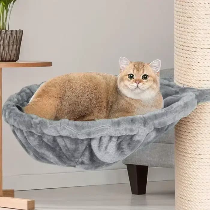 Mir en Peluche Chaud et Confortable pour Chat