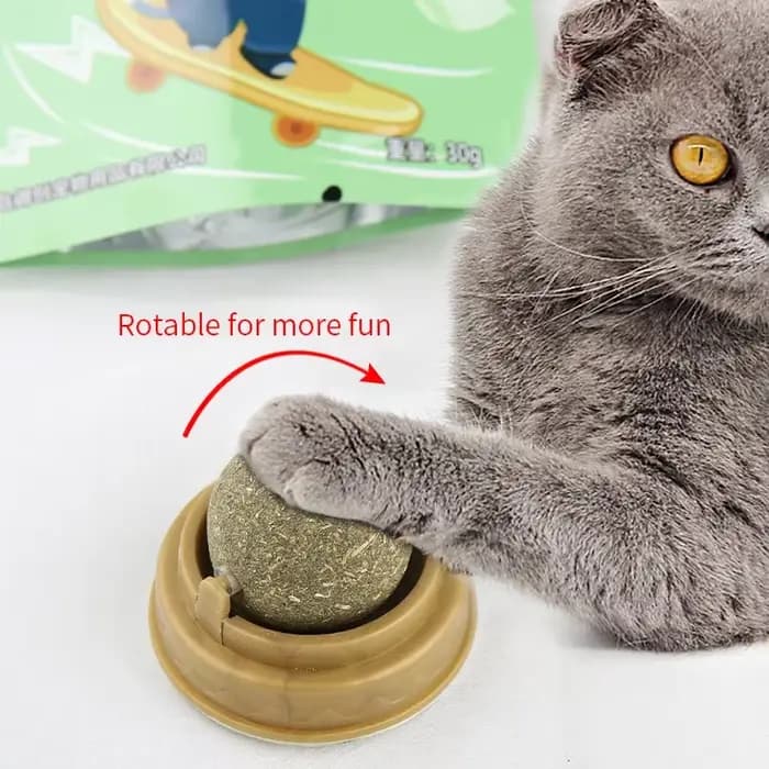 Boule à coller murale en herbe-aux-chats naturel pour chat