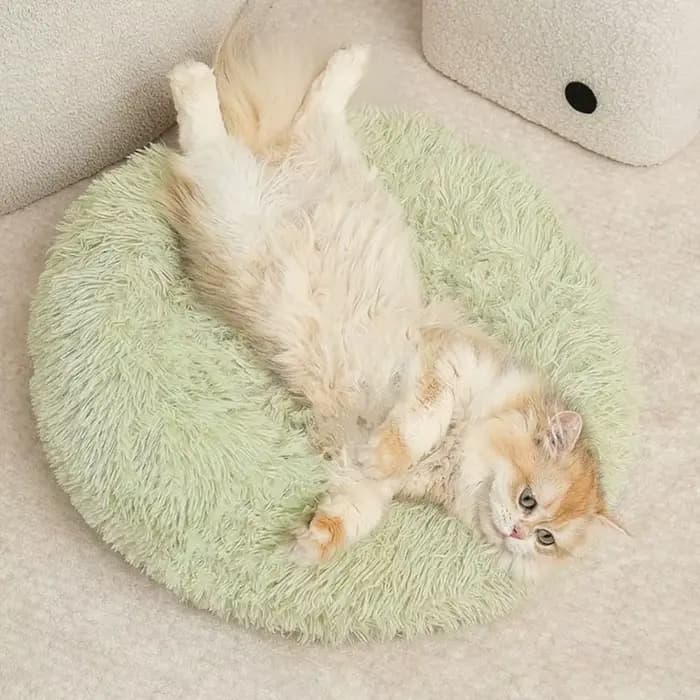 Nid de chat Super doux et chaud
