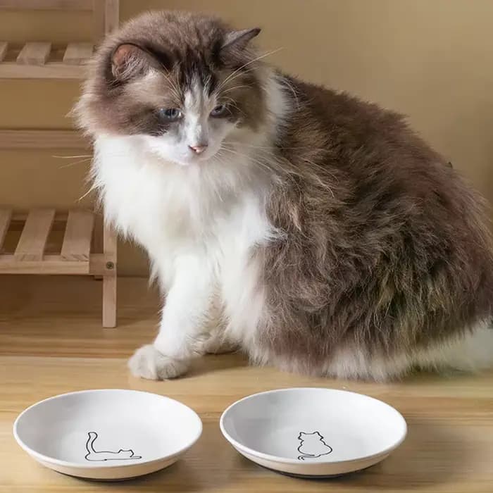 Bol en céramique pour nourriture et eau pour chat avec tapis antidérapant en silicone