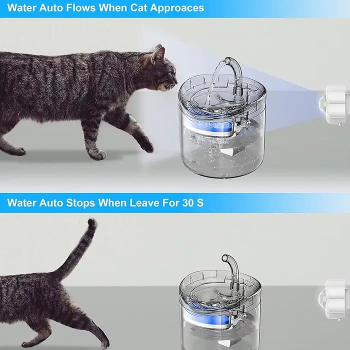 Fontaine à eau automatique pour animaux de compagnie avec capteur de mouvement