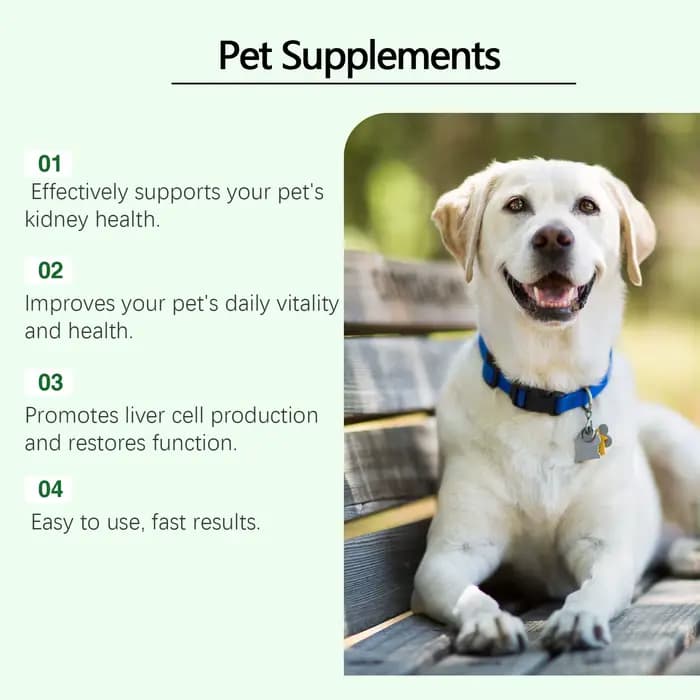Yegbong Complément de soin pour animaux de compagnie pour favoriser la santé des reins – Améliore la vitalité