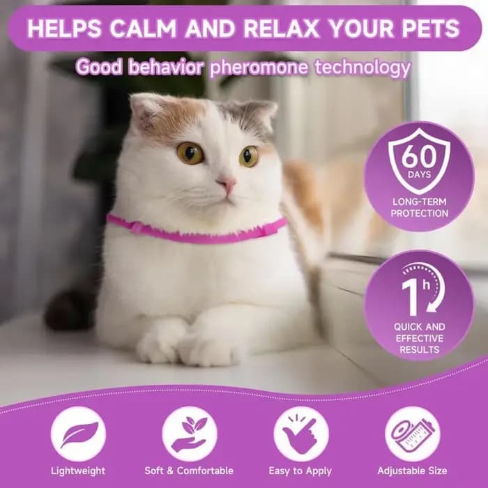 Collier apaisant pour chien et chat, sangle de cou en plastique, collier apaisant pour chat réglable, soulage l'anxiété, élimine l'agitation, produit apaisant pour animaux de compagnie