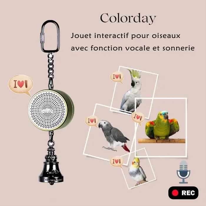 Jouet oiseau Jouets de perroquet à l'enseignement de la formation Entraîneur parlant d'oiseau Enregistrement interactif Lecture