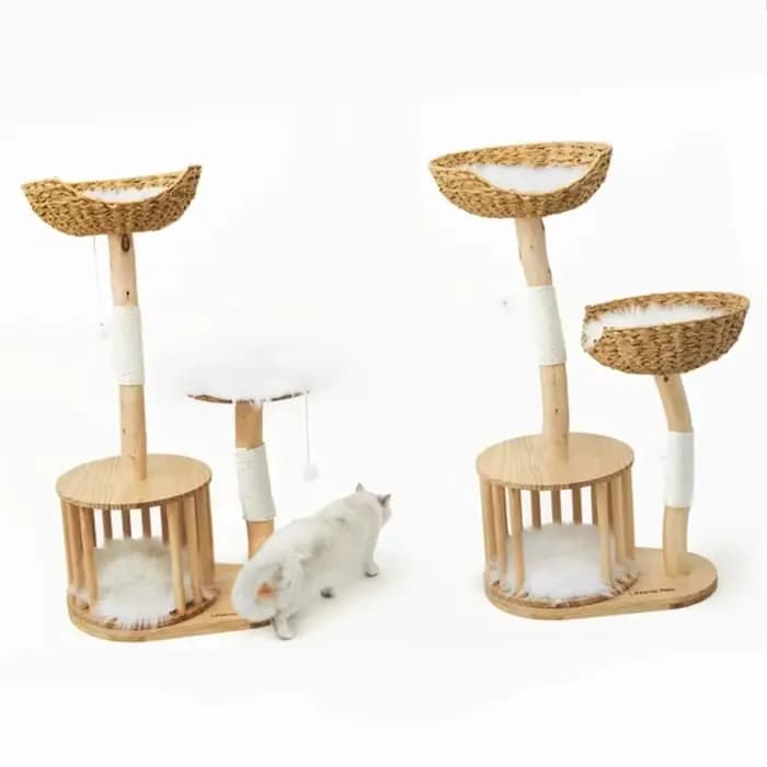 Arbre à chat en bois massif en forme d'arbre