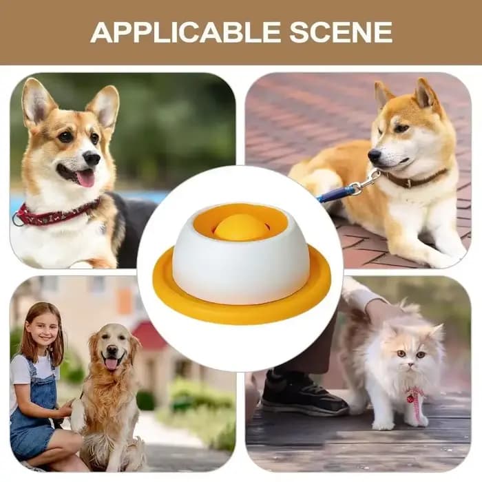 Accessoires d'alimentation pour animaux de compagnie