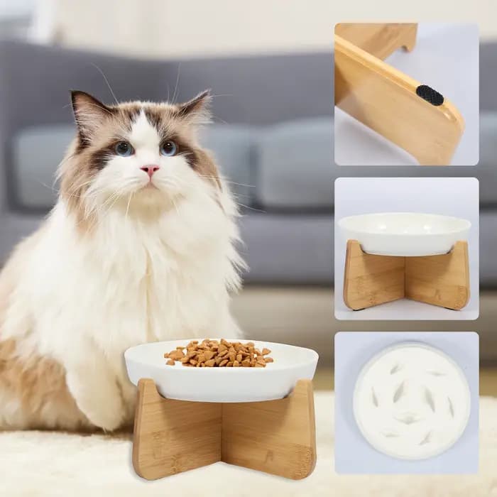 Bol pour chat surélevé bols