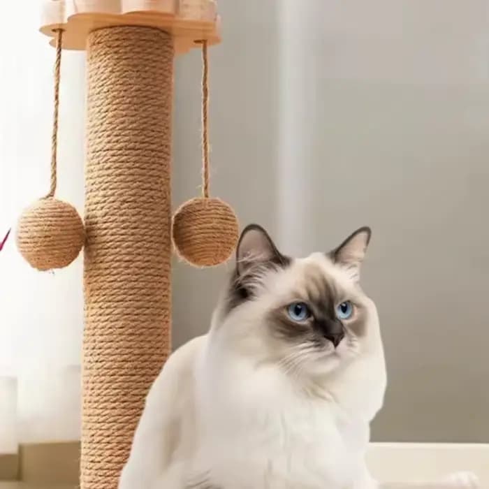 Corde en Sisal pour arbres à chat