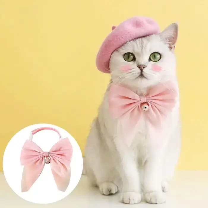 Collier à nœud papillon en ruban pour chat