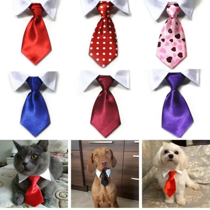 Cravate formelle pour chien et chat