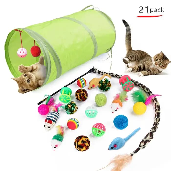 Jouets pour chaton, paquet varié