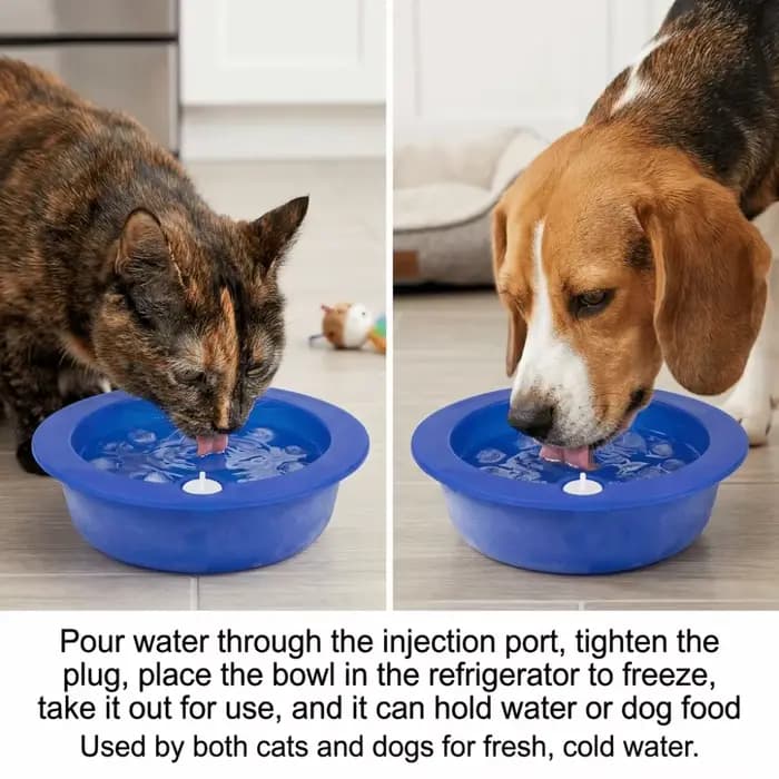 Bol rafraîchissant pour chien à injection d'eau – Soulage la chaleur, rétention de froid longue durée, gamelle d'eau froide pour animaux de compagnie