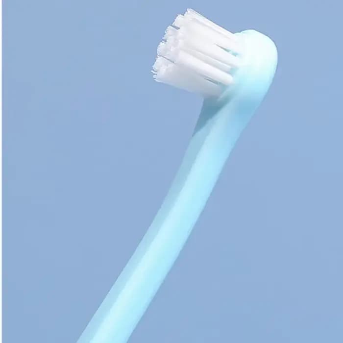 Brosse à dents pour chat
