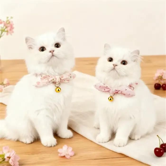 Collier tricoté pour animaux compagnie F19B, conception réglable pour chiens chats petite, moyenne taille, en