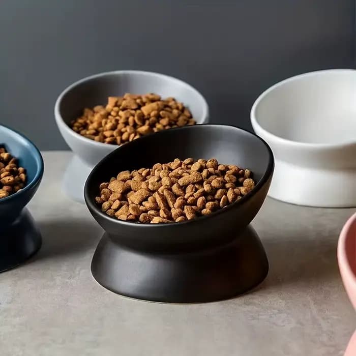 Ensemble de bols surélevés en céramique pour chat
