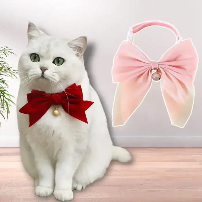 Collier pour animaux de compagnie exquis