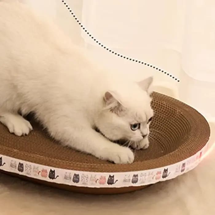 Griffoir pour chat en forme de bol