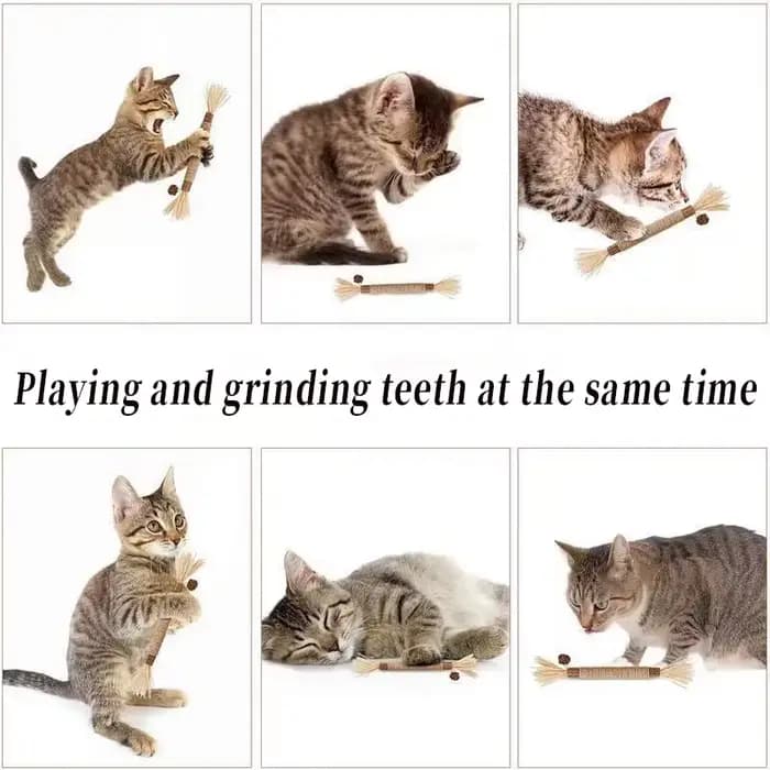Jouets pour chat Silvervine bâton à mâcher Polygonum Kitty raphia herbe fournitures pour animaux de compagnie nettoyage