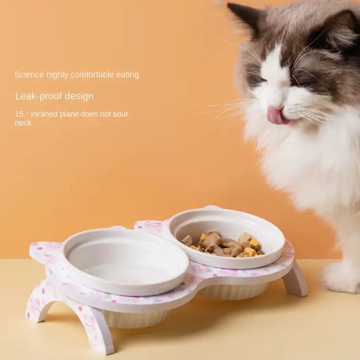 Double gamelle en céramique pour chat avec support antidérapant