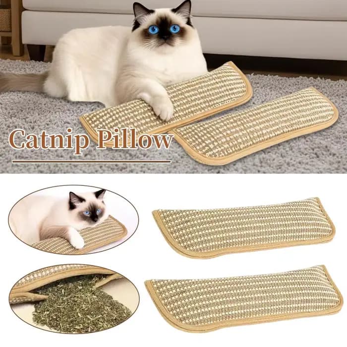 Jouets interactifs à gratter pour chat
